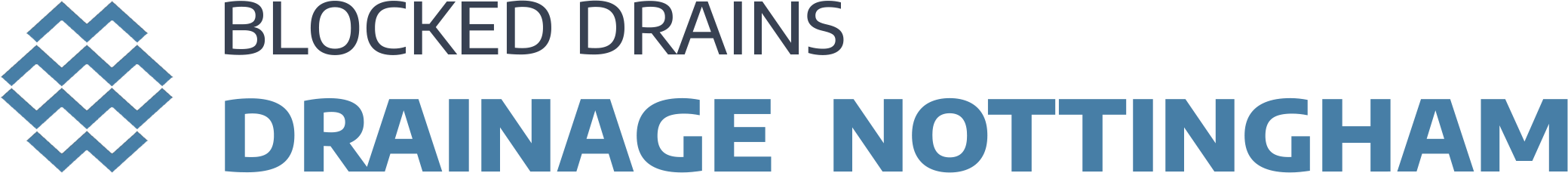 website logo